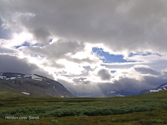 Sarek