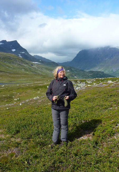 Sarek