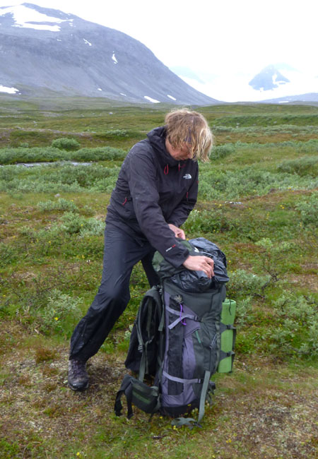 Sarek