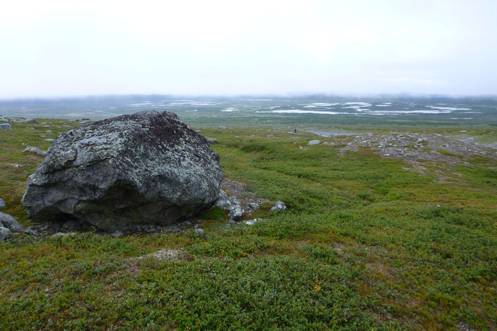 Sarek