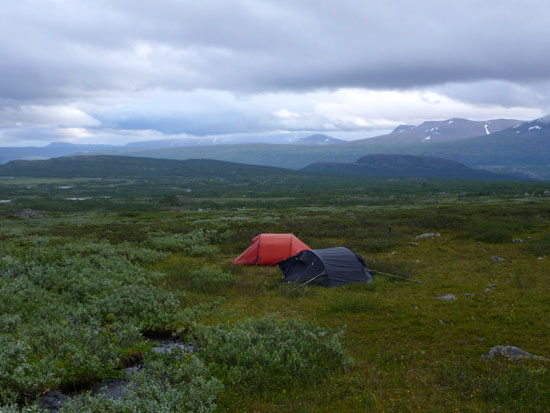 Sarek