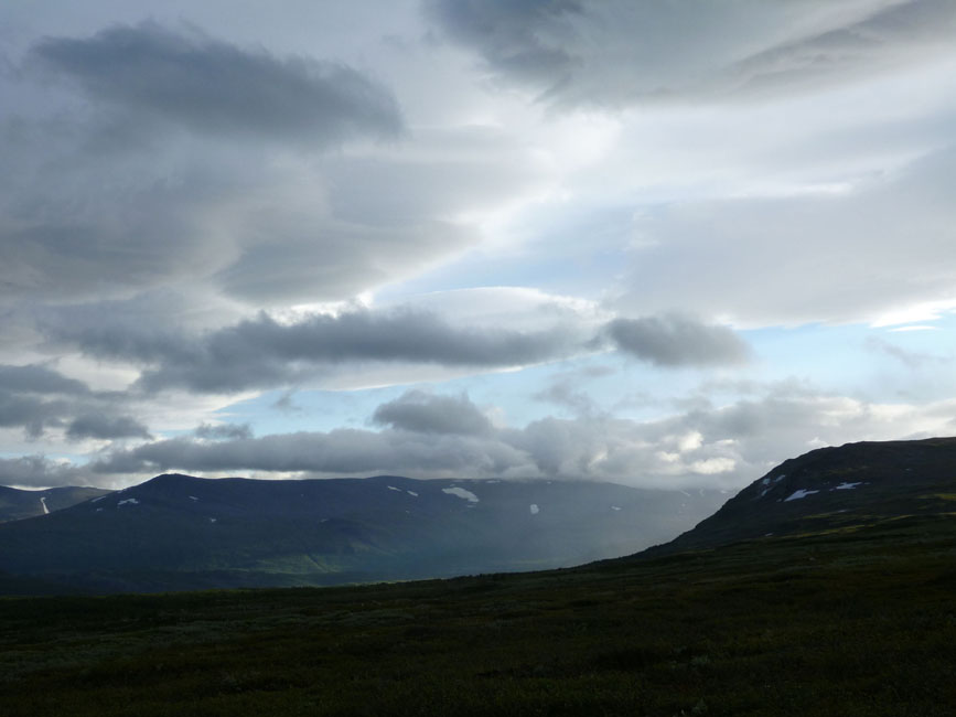 Sarek