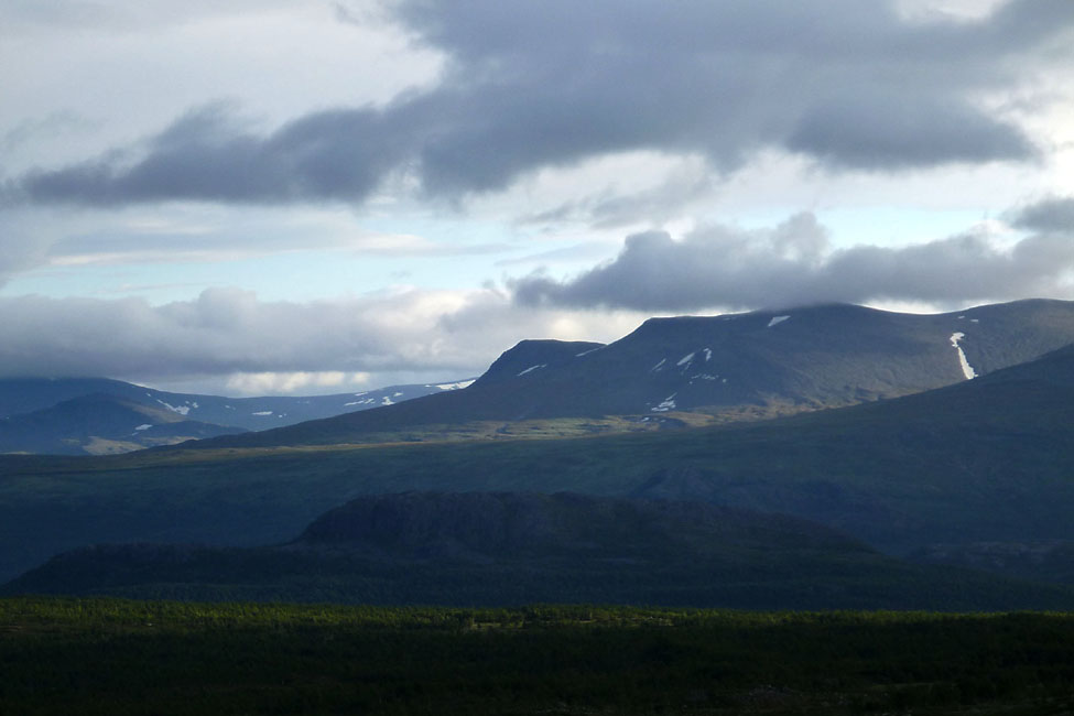 Sarek