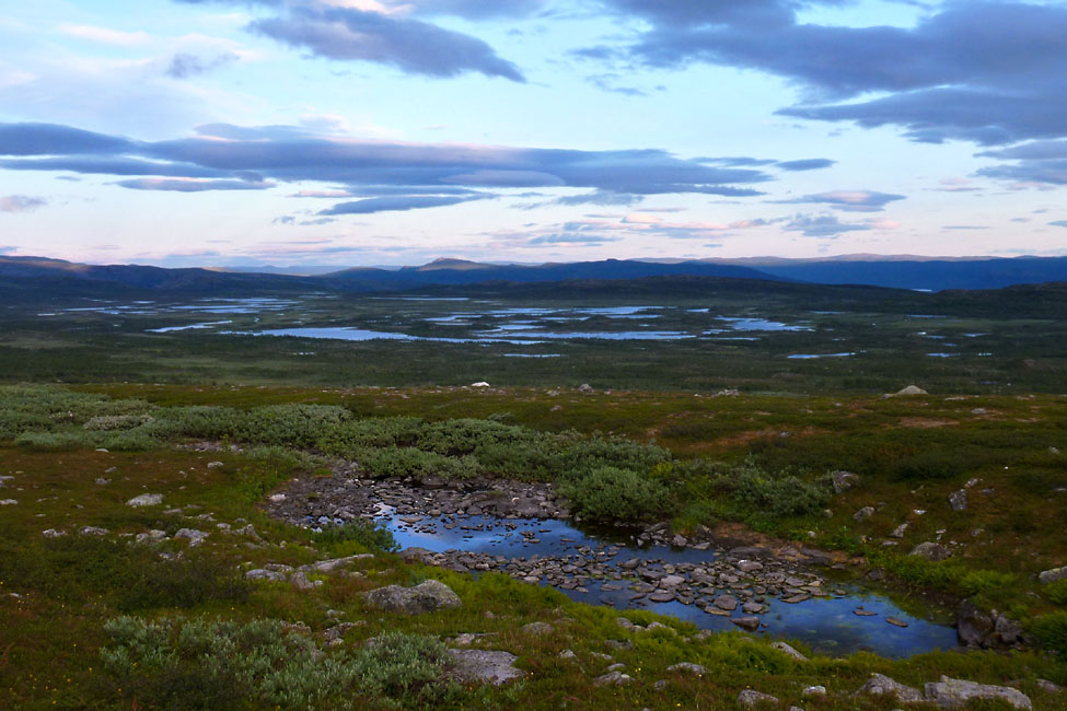 Sarek