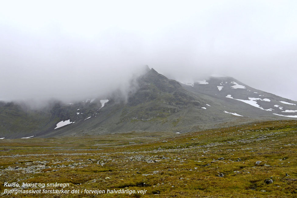 Sarek