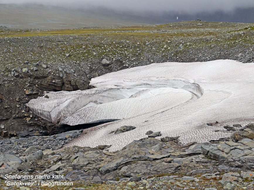 Sarek