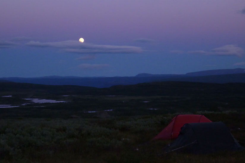 Sarek