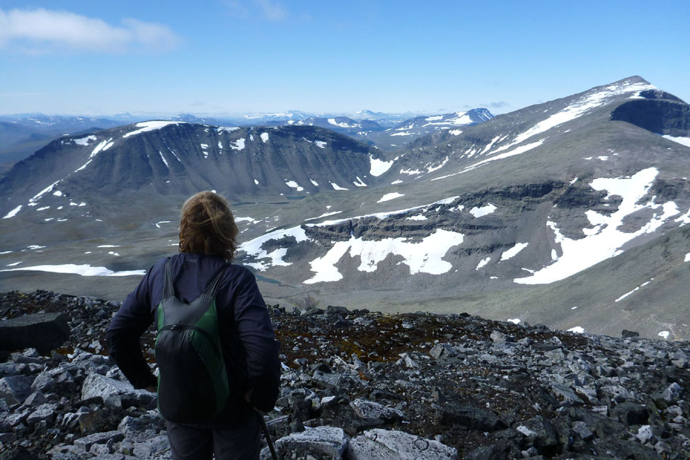 Sarek