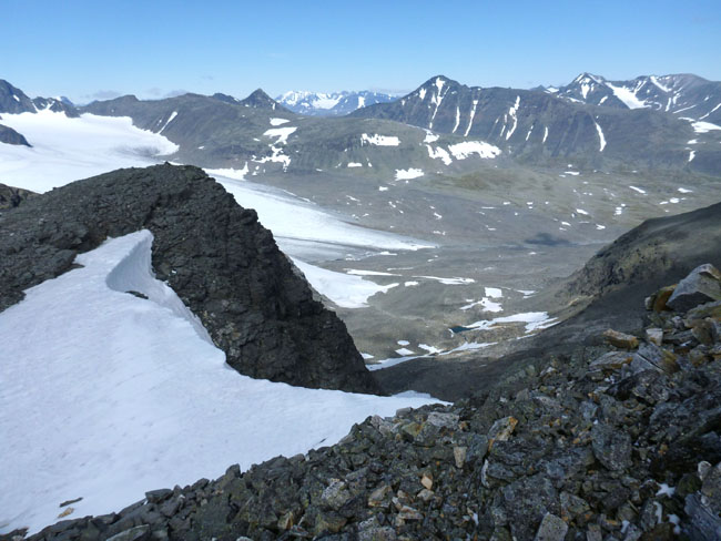Sarek