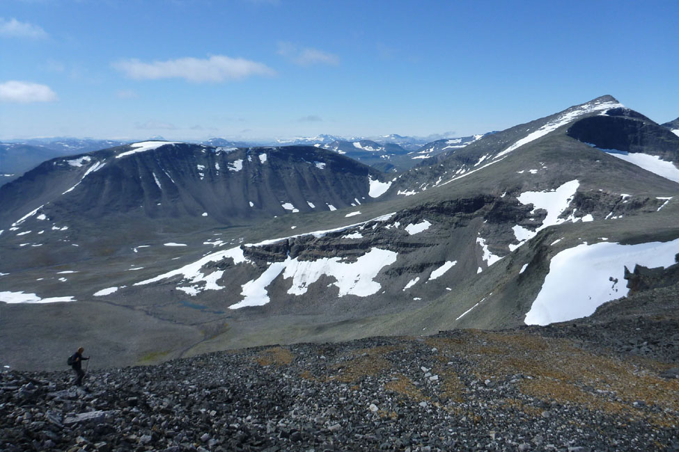 Sarek