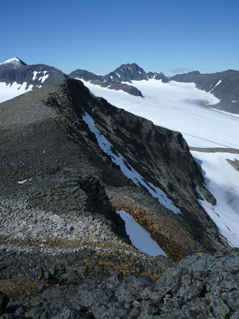 Sarek