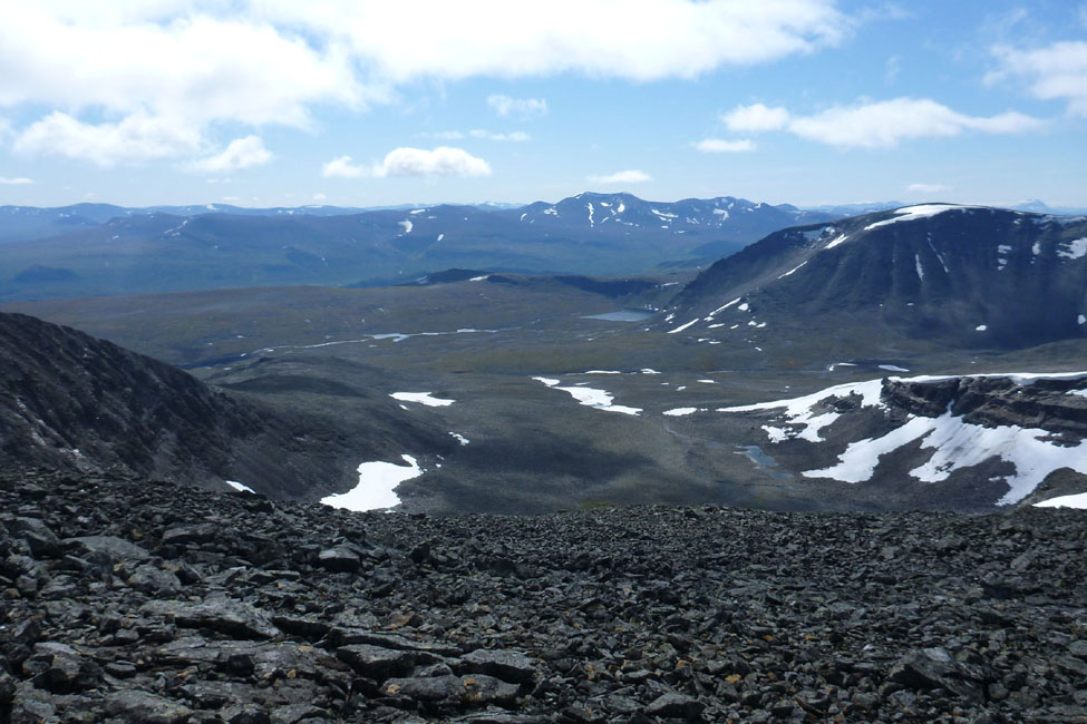 Sarek