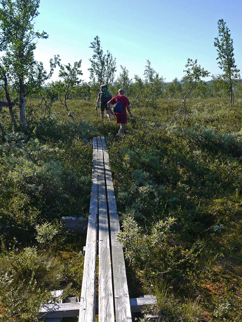 Sarek