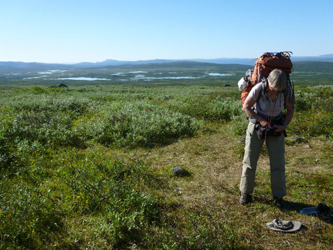 Sarek