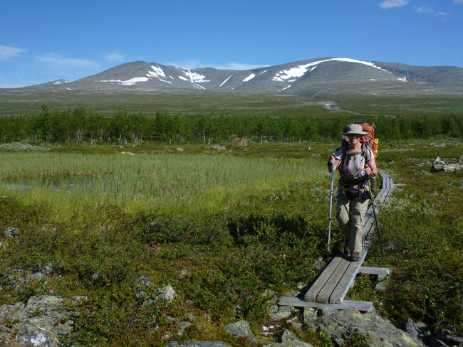 Sarek