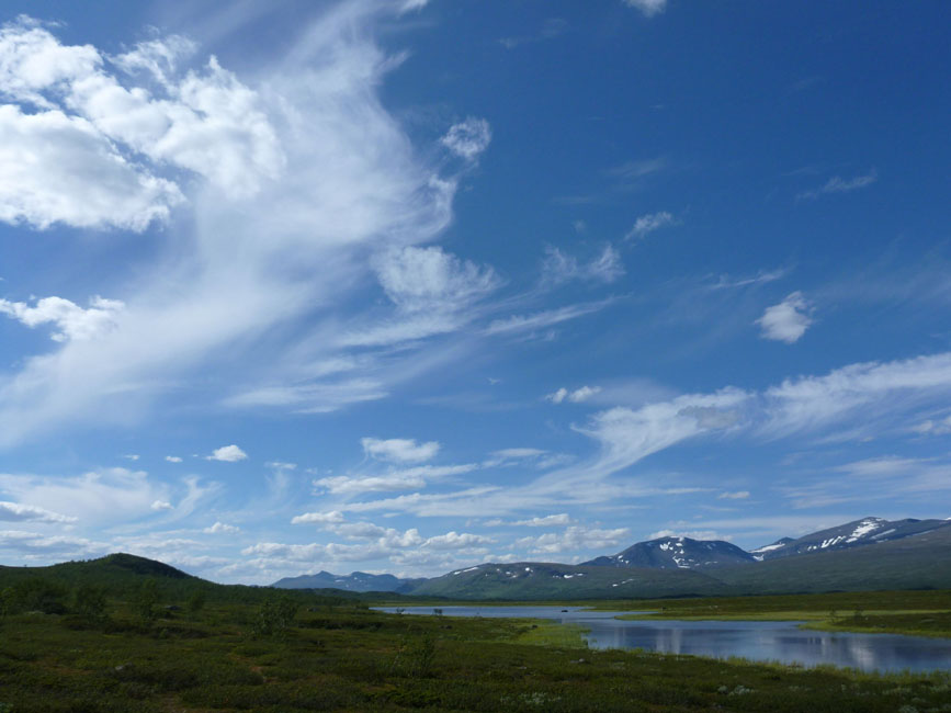 Sarek