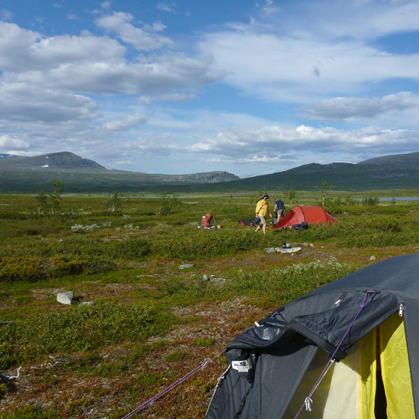 Sarek