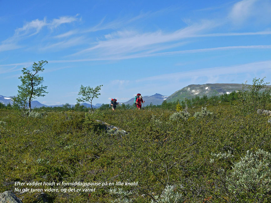 Sarek