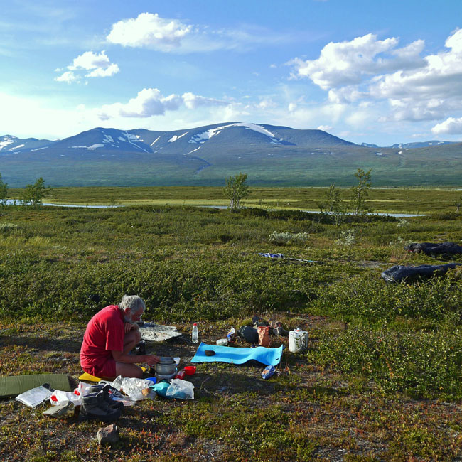 Sarek