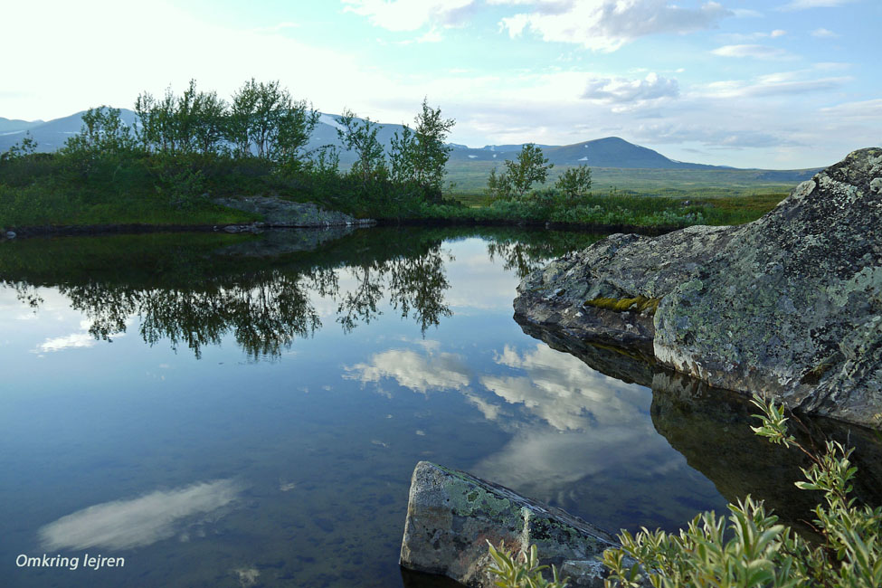 Sarek