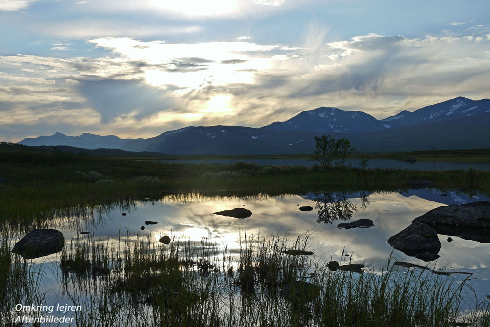 Sarek