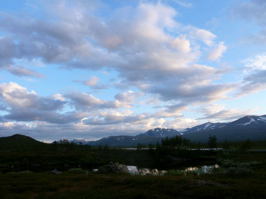 Sarek