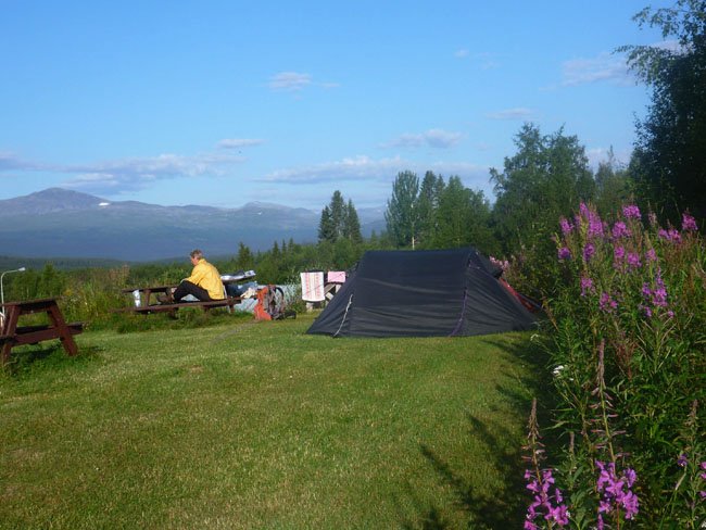 Sarek