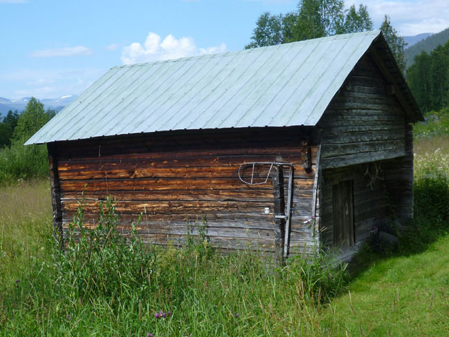 Sarek