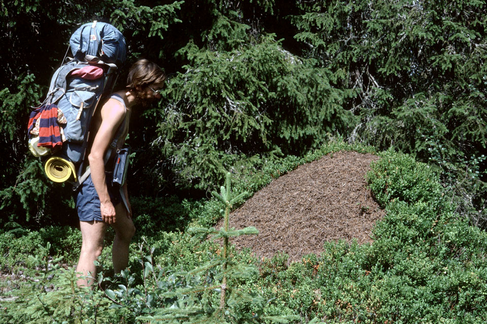 Fjeldvandring i Norge 1982