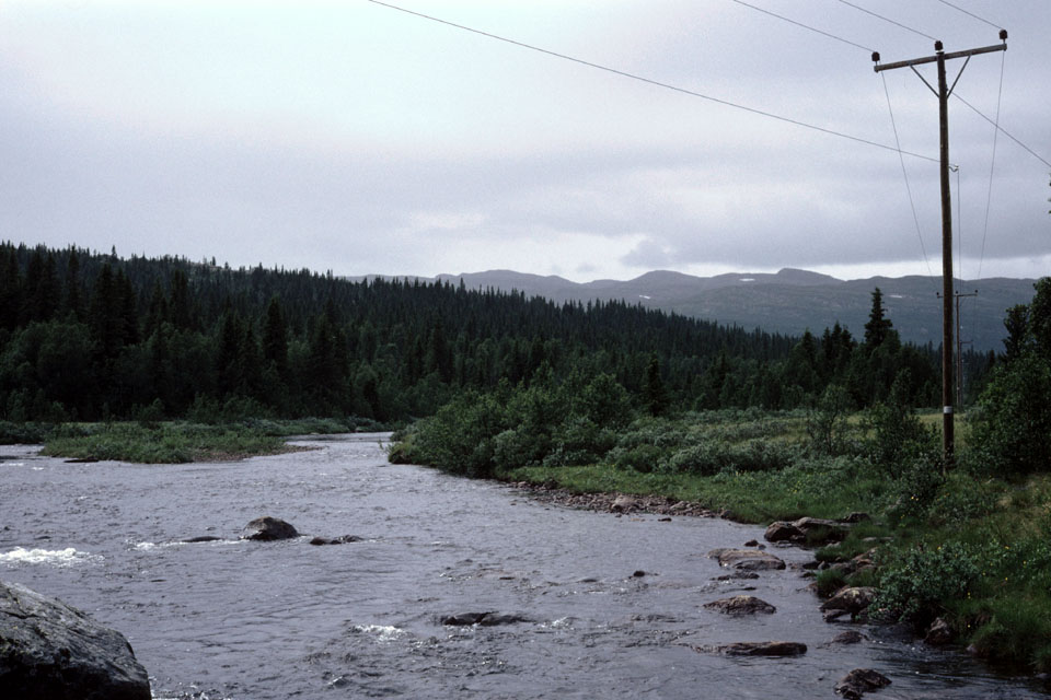 Fjeldvandring i Norge 1982