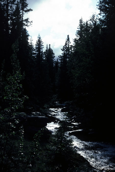 Fjeldvandring i Norge 1982