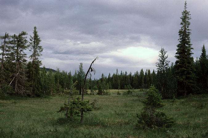 Fjeldvandring i Norge 1982