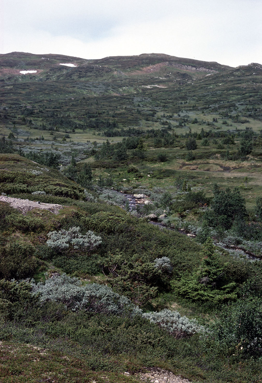 Fjeldvandring i Norge 1982