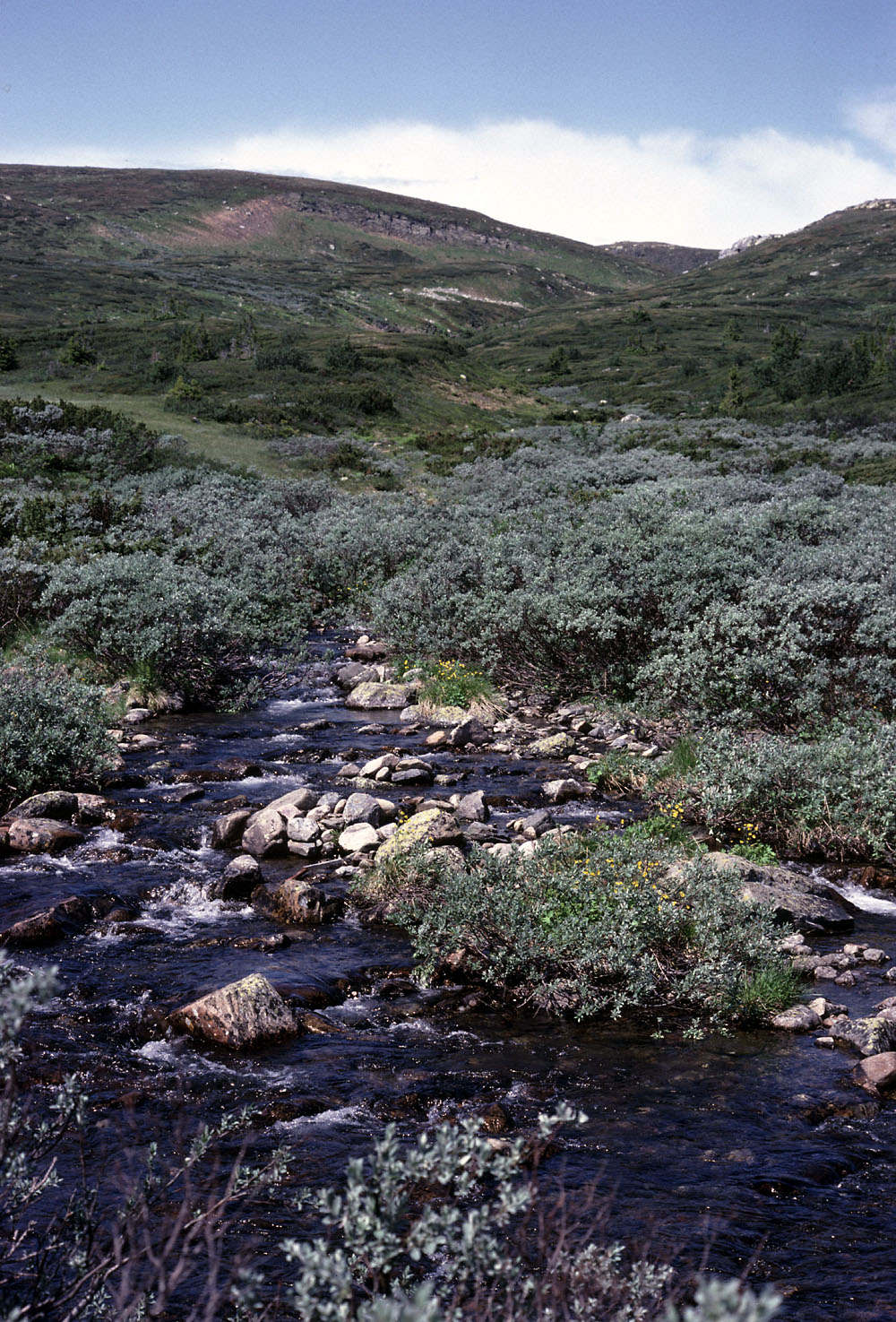 Fjeldvandring i Norge 1982