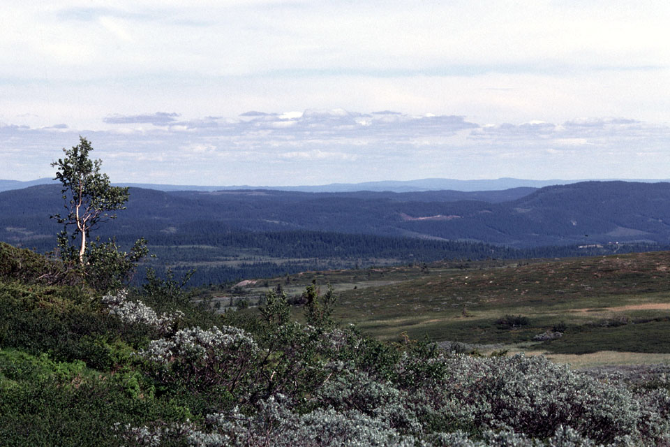 Fjeldvandring i Norge 1982