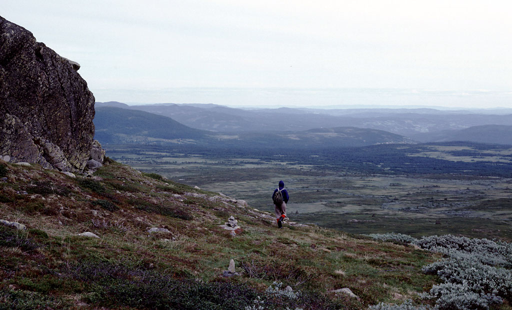 Fjeldvandring i Norge 1982