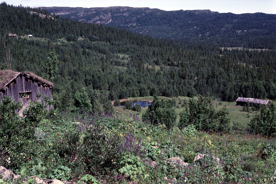 Fjeldvandring i Norge 1982