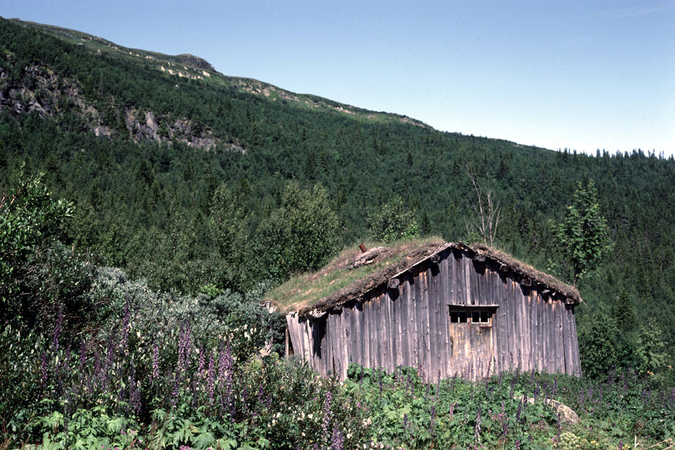 Fjeldvandring i Norge 1982