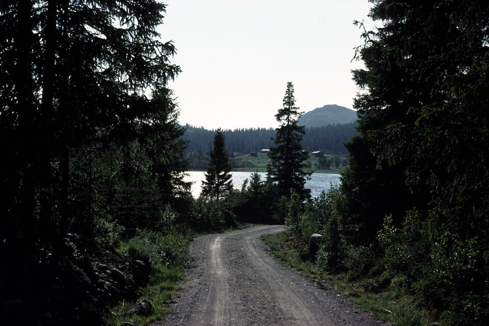 Fjeldvandring i Norge 1982