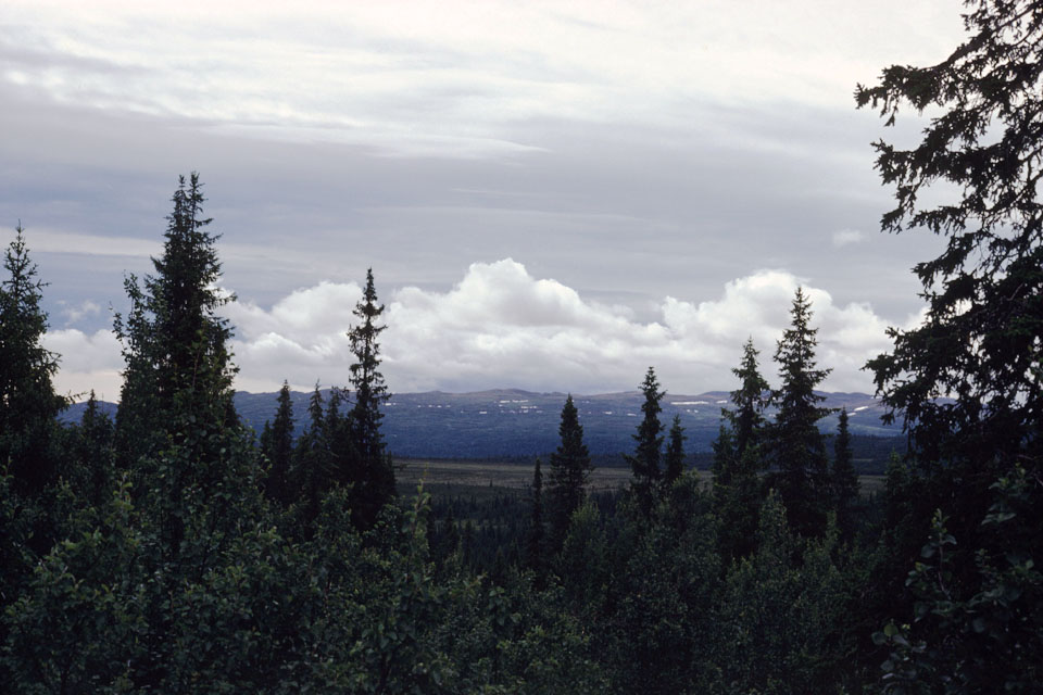 Fjeldvandring i Norge 1982