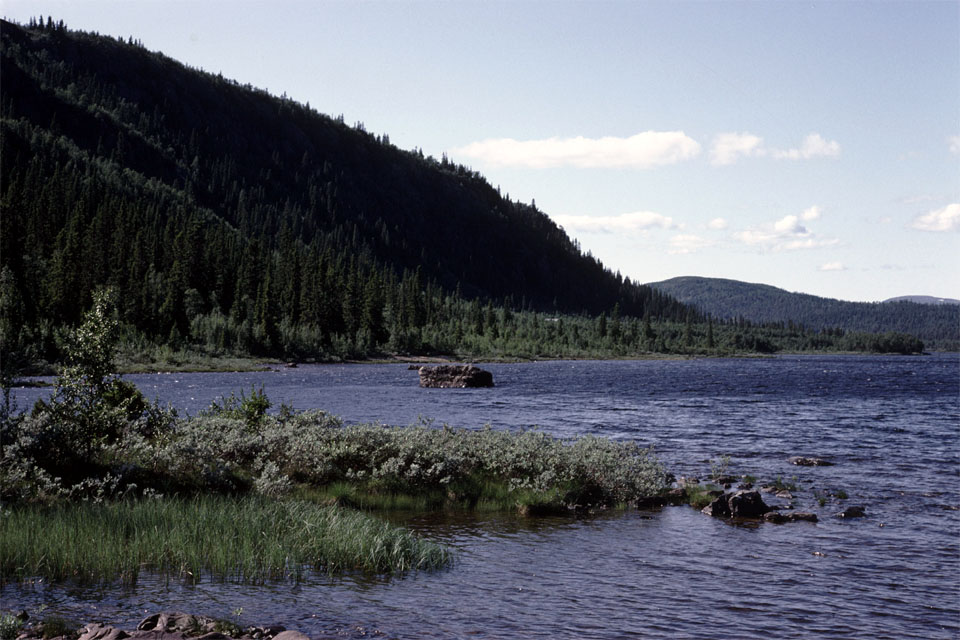 Fjeldvandring i Norge 1982