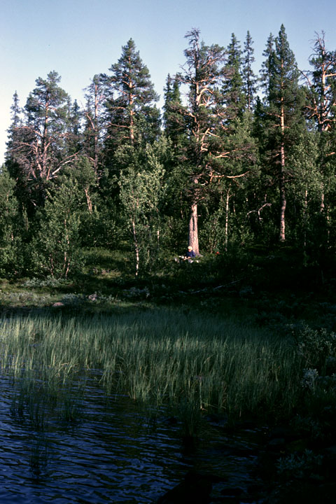 Fjeldvandring i Norge 1982