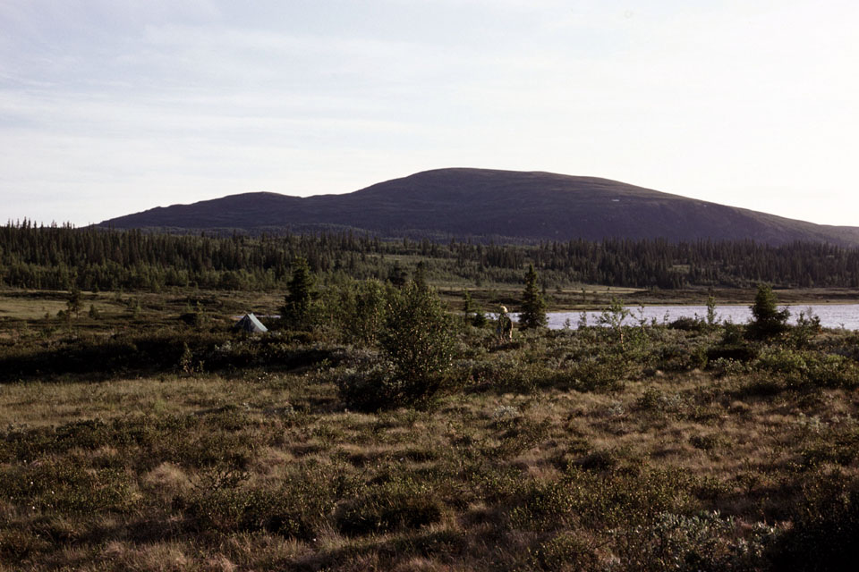 Fjeldvandring i Norge 1982