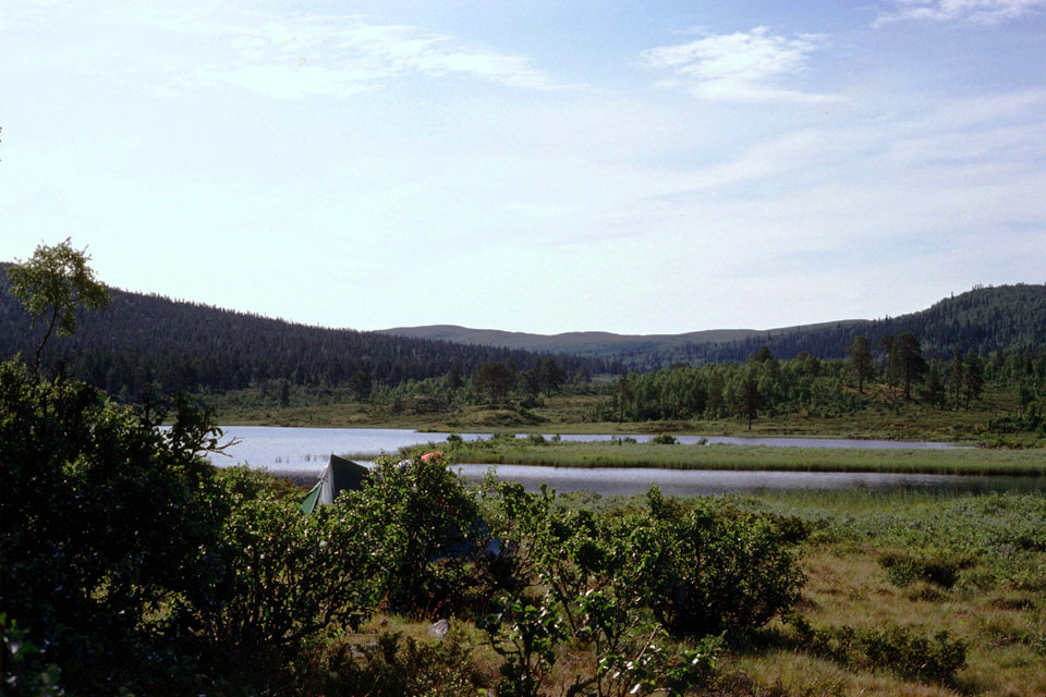 Fjeldvandring i Norge 1982