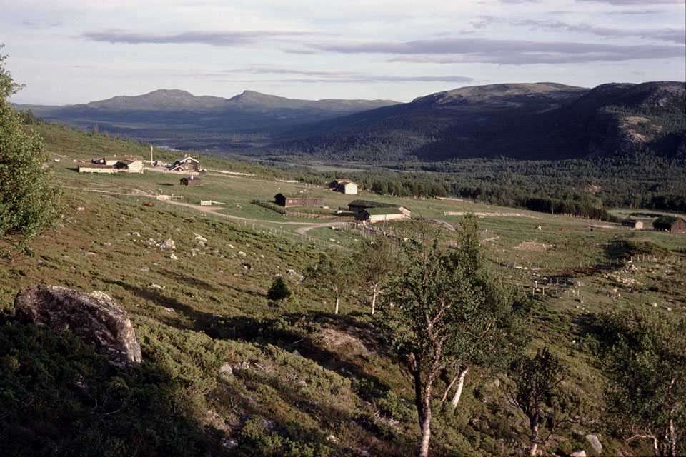 Fjeldvandring i Norge 1982