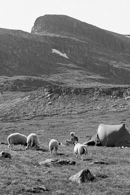 Fjeldvandring i Norge 1982