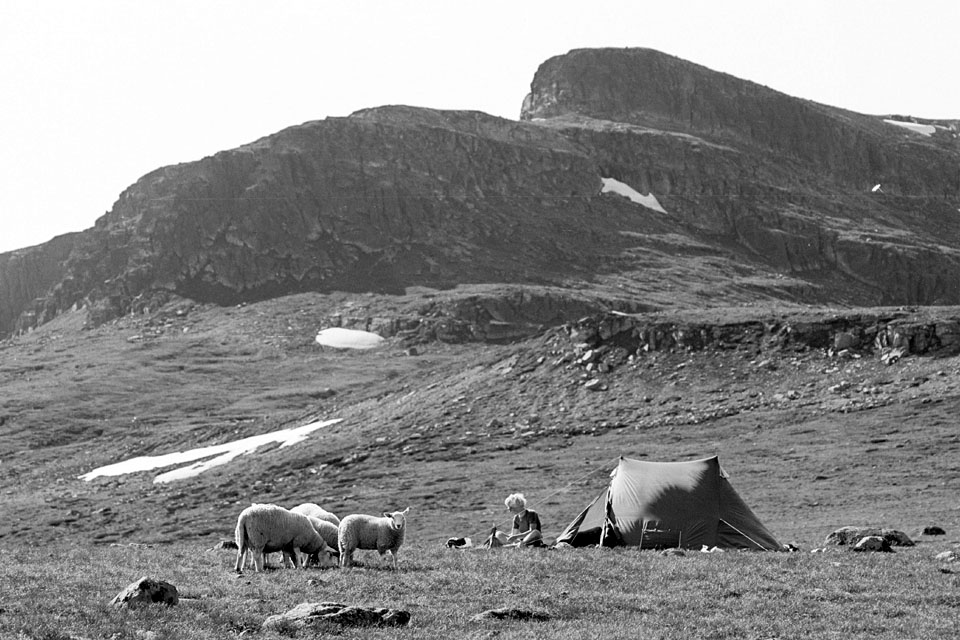 Fjeldvandring i Norge 1982