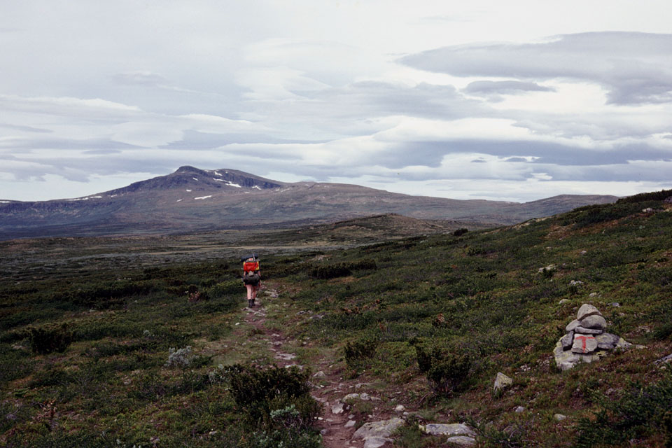 Fjeldvandring i Norge 1982