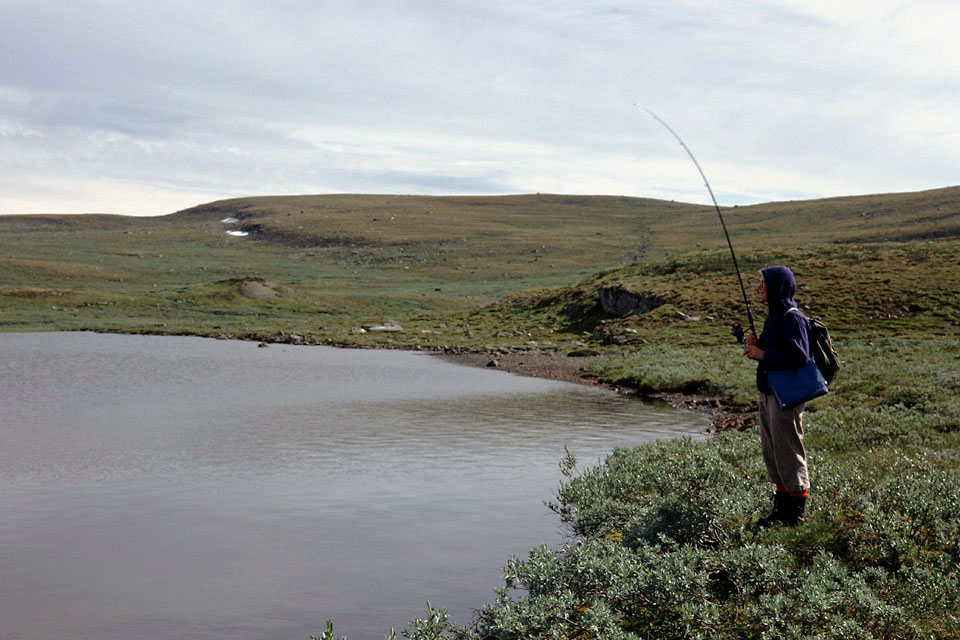 Fjeldvandring i Norge 1982