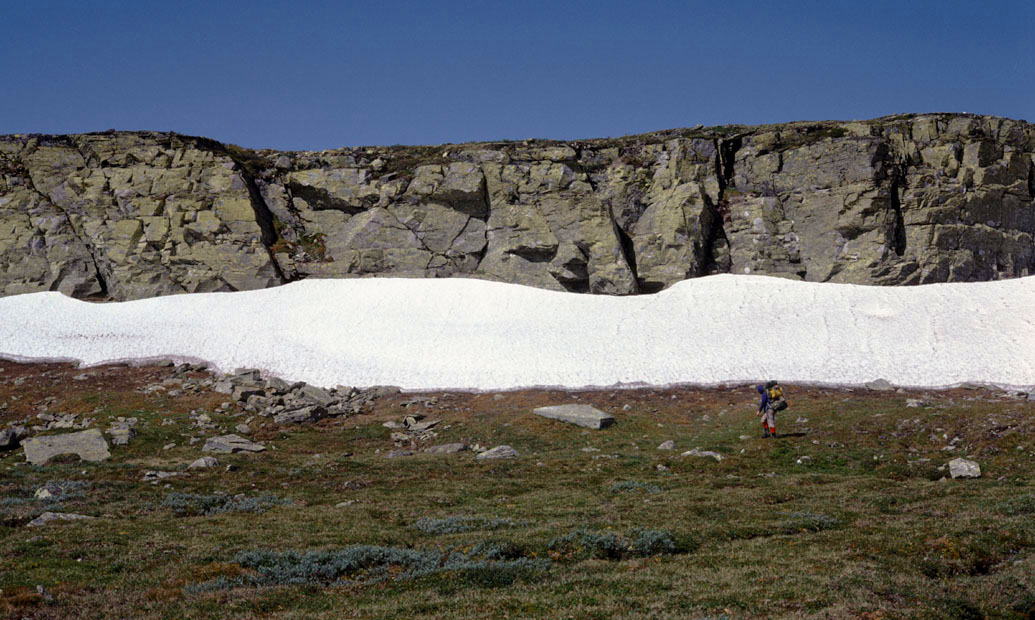 Fjeldvandring i Norge 1982